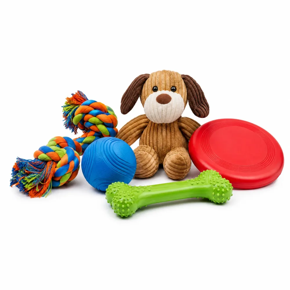 Kit 5 Brinquedos para Cães