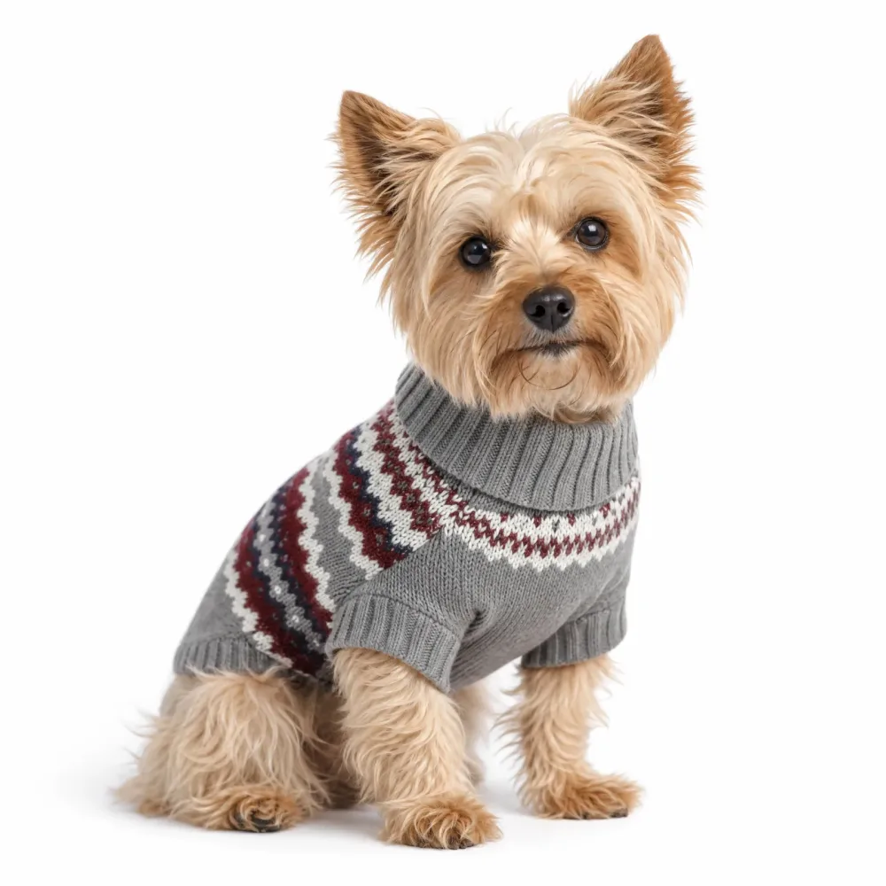 Roupinha para Cães